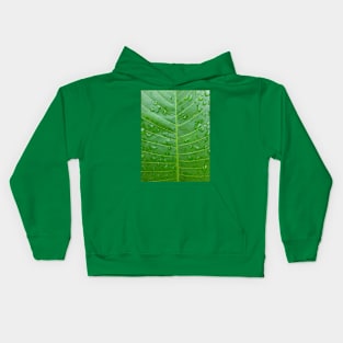 Green banana leaf vein with raindrops Kids Hoodie